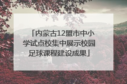 内蒙古12盟市中小学试点校集中展示校园足球课程建设成果