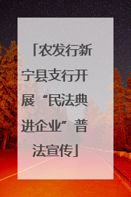 农发行新宁县支行开展“民法典进企业”普法宣传