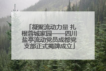 凝聚流动力量 扎根蓉城家园——四川盐亭流动党员成都党支部正式揭牌成立