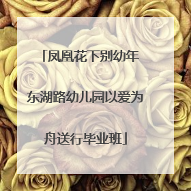 凤凰花下别幼年 东湖路幼儿园以爱为舟送行毕业班