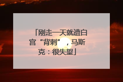 刚走一天就遭白宫“背刺”，马斯克：很失望