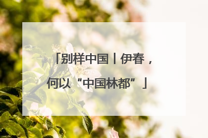 别样中国丨伊春，何以“中国林都”