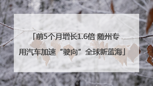 前5个月增长1.6倍 随州专用汽车加速“驶向”全球新蓝海