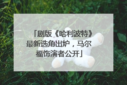剧版《哈利波特》最新选角出炉，马尔福饰演者公开