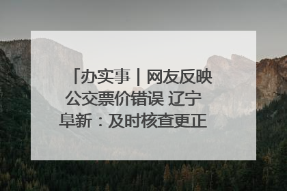 办实事｜网友反映公交票价错误 辽宁阜新：及时核查更正 加强实时巡检