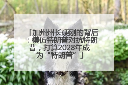 加州州长硬刚的背后：模仿特朗普对抗特朗普，打算2028年成为“特朗普”