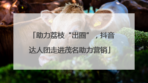 助力荔枝“出圈”，抖音达人团走进茂名助力营销