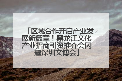 区域合作开启产业发展新篇章！黑龙江文化产业招商引资推介会闪耀深圳文博会