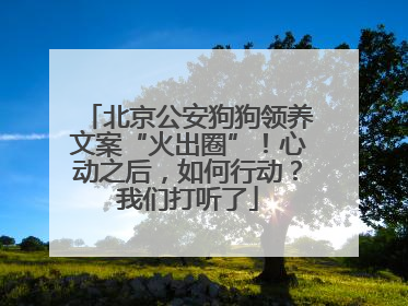 北京公安狗狗领养文案“火出圈”！心动之后，如何行动？我们打听了