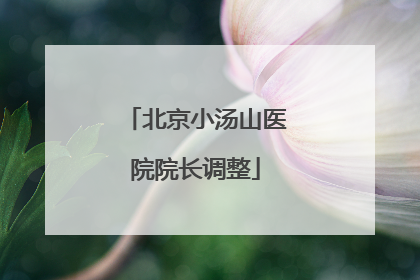 北京小汤山医院院长调整