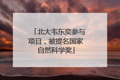 北大韦东奕参与项目，被提名国家自然科学奖