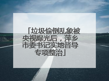 垃圾偷倒乱象被央视曝光后，萍乡市委书记实地督导专项整治