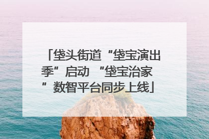 垡头街道“垡宝演出季”启动 “垡宝治家”数智平台同步上线