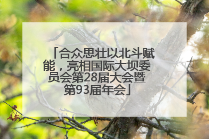 合众思壮以北斗赋能，亮相国际大坝委员会第28届大会暨第93届年会