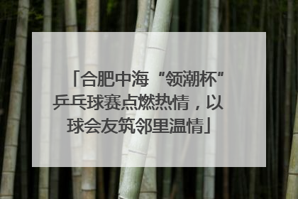 合肥中海“领潮杯”乒乓球赛点燃热情，以球会友筑邻里温情