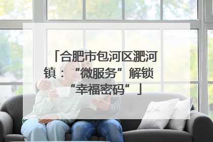 合肥市包河区淝河镇：“微服务”解锁“幸福密码”