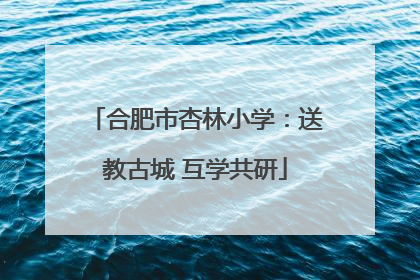 合肥市杏林小学：送教古城 互学共研