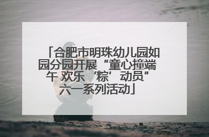 合肥市明珠幼儿园如园分园开展“童心撞端午 欢乐‘粽’动员”六一系列活动