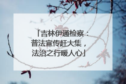 吉林伊通检察：普法宣传赶大集，法治之行暖人心
