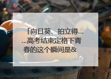 向日葵、拍立得……高考结束定格下青春的这个瞬间是& 8594;｜2025四川高考