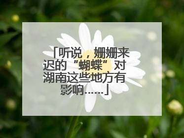 听说，姗姗来迟的“蝴蝶”对湖南这些地方有影响……