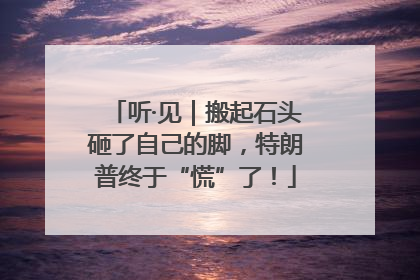 听·见｜搬起石头砸了自己的脚，特朗普终于“慌”了！