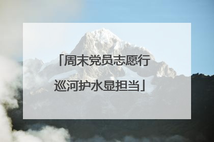 周末党员志愿行 巡河护水显担当