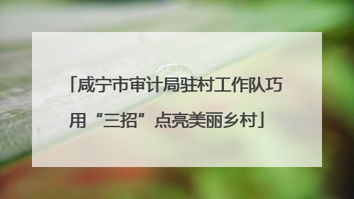 咸宁市审计局驻村工作队巧用“三招”点亮美丽乡村