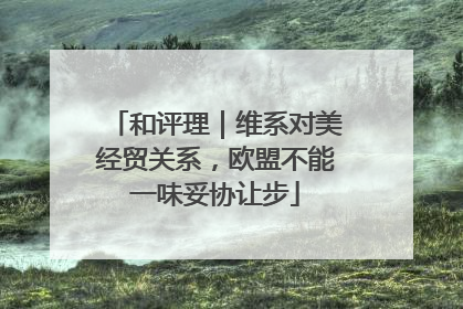 和评理｜维系对美经贸关系，欧盟不能一味妥协让步