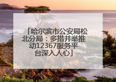 哈尔滨市公安局松北分局：多措并举推动12367服务平台深入人心