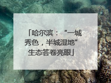 哈尔滨：“一城秀色，半城湿地”生态答卷亮眼