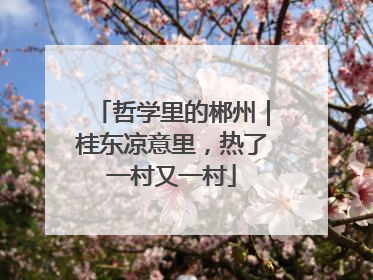 哲学里的郴州｜桂东凉意里，热了一村又一村