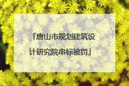 唐山市规划建筑设计研究院串标被罚