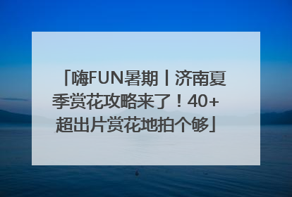嗨FUN暑期丨济南夏季赏花攻略来了！40+超出片赏花地拍个够
