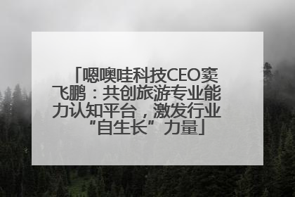 嗯噢哇科技CEO窦飞鹏：共创旅游专业能力认知平台，激发行业“自生长”力量