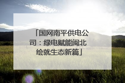 国网南平供电公司：绿电赋能闽北 绘就生态新篇