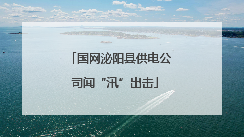 国网泌阳县供电公司闻“汛”出击