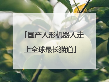 国产人形机器人走上全球最长猫道