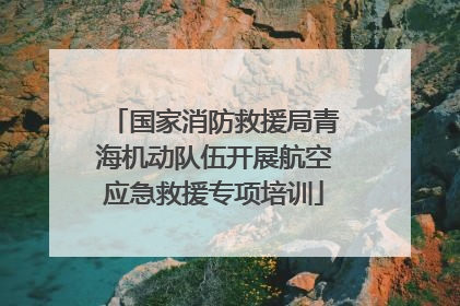 国家消防救援局青海机动队伍开展航空应急救援专项培训