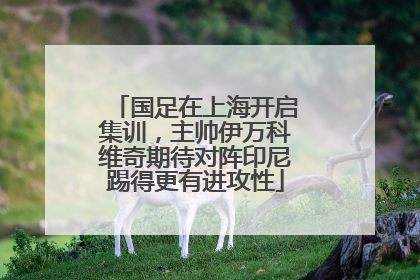 国足在上海开启集训，主帅伊万科维奇期待对阵印尼踢得更有进攻性