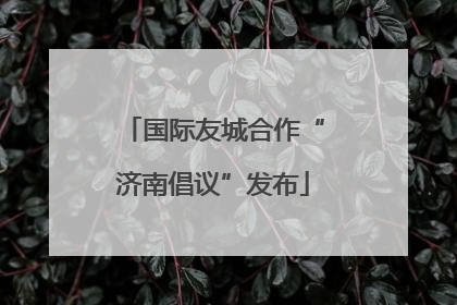 国际友城合作“济南倡议”发布