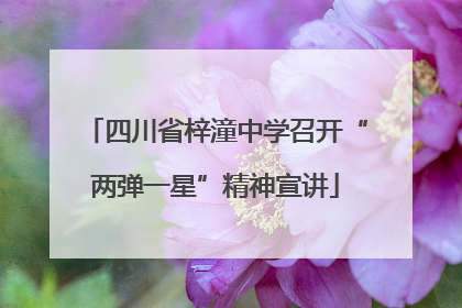 四川省梓潼中学召开“两弹一星”精神宣讲