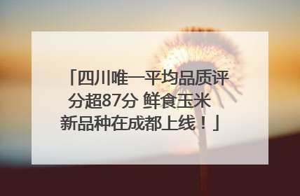 四川唯一平均品质评分超87分 鲜食玉米新品种在成都上线！