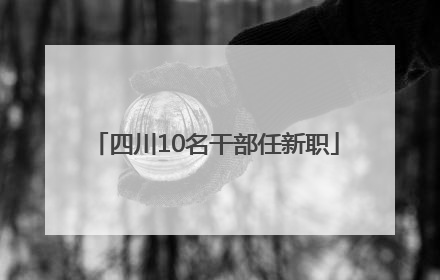 四川10名干部任新职
