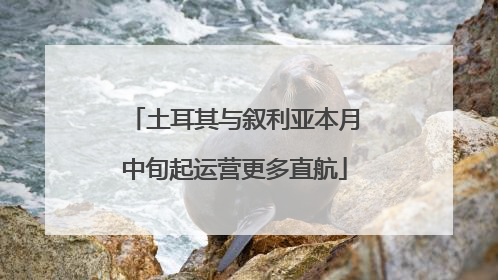 土耳其与叙利亚本月中旬起运营更多直航