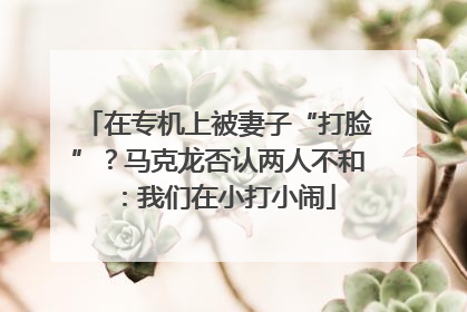 在专机上被妻子“打脸”？马克龙否认两人不和：我们在小打小闹