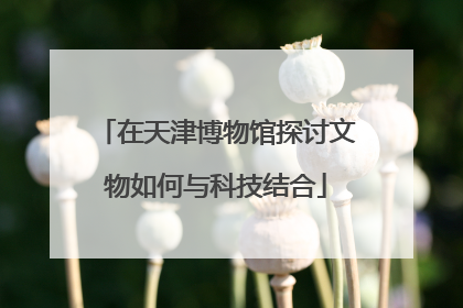 在天津博物馆探讨文物如何与科技结合
