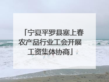 宁夏平罗县塞上春农产品行业工会开展工资集体协商
