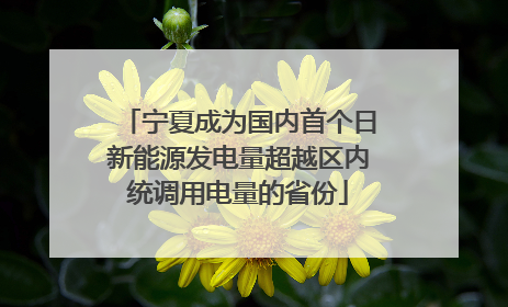 宁夏成为国内首个日新能源发电量超越区内统调用电量的省份
