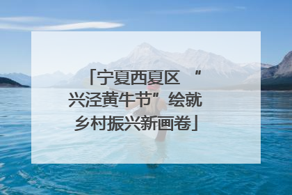 宁夏西夏区 “兴泾黄牛节”绘就乡村振兴新画卷
